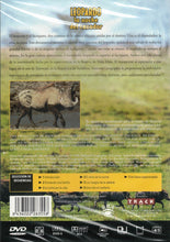 Cargar imagen en el visor de la galería, Leopardo - La Noche del Cazador - NATIONAL GEOGRAPHIC (DVD) C-198 (NUEVO)