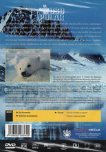 Load image into Gallery viewer, The Kingdom Of The Polar Bear - NATIONAL GEOGRAPHIC (DVD) C-198 (NEW)