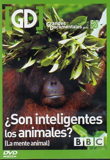 ¿Son inteligentes los animales? (DVD) (de segunda mano muy bueno)