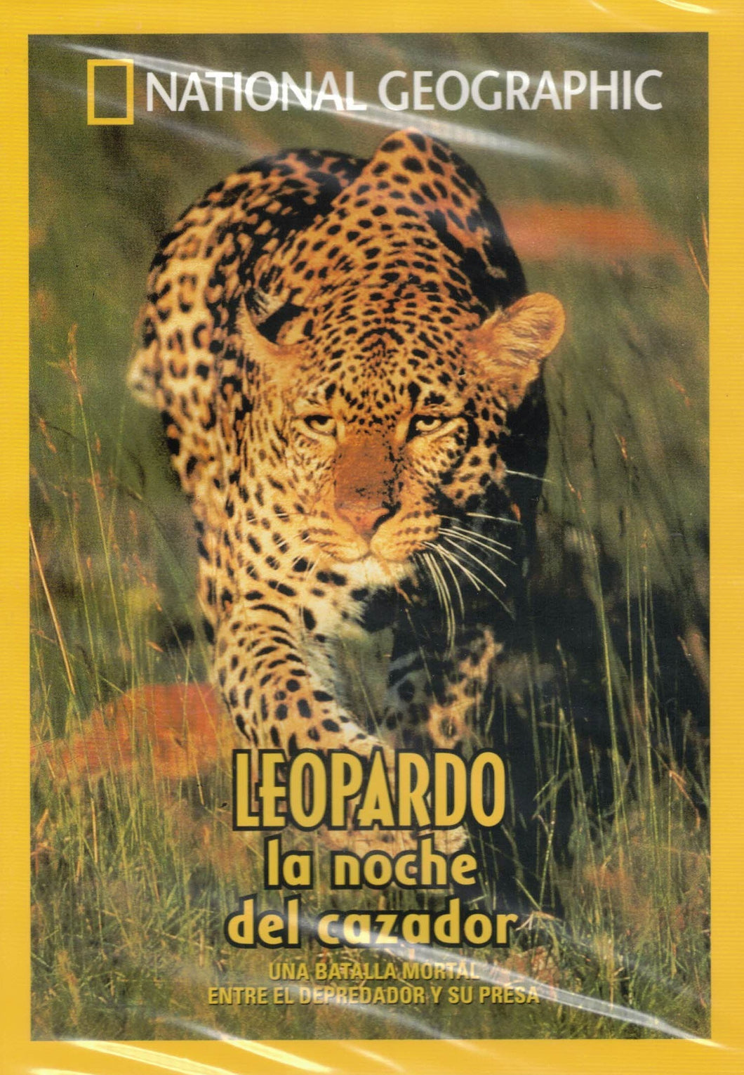 Leopardo - La Noche del Cazador - NATIONAL GEOGRAPHIC (DVD) C-198 (NUEVO)