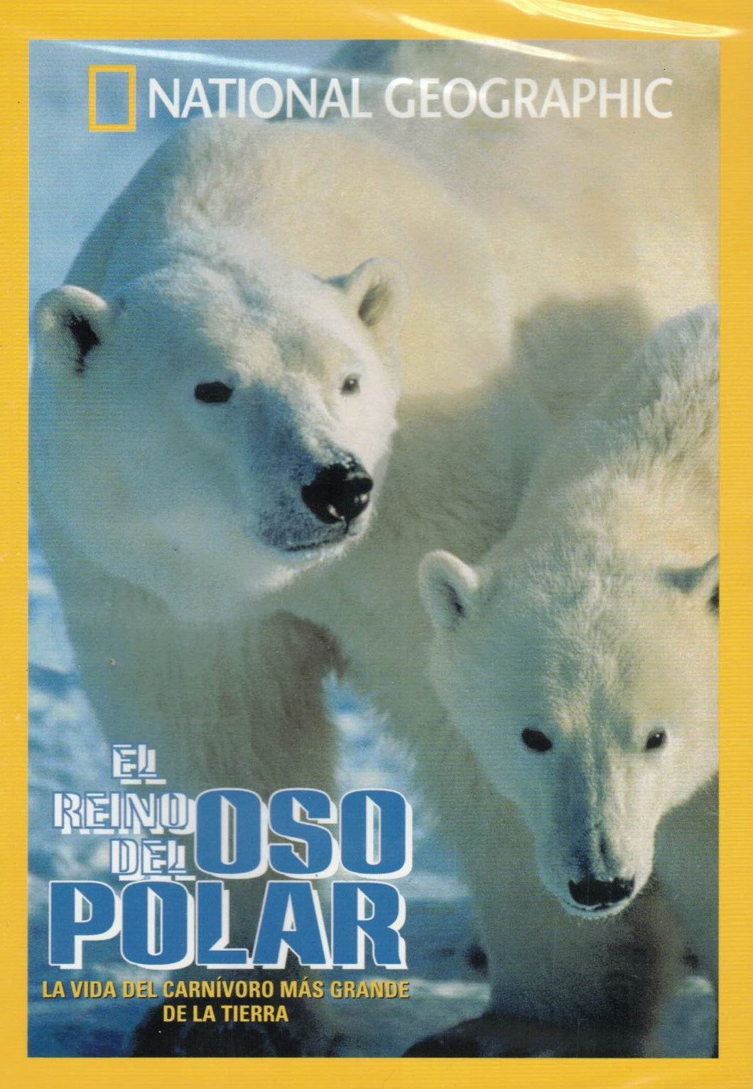 The Kingdom Of The Polar Bear - NATIONAL GEOGRAPHIC (DVD) C-198 (NEW)